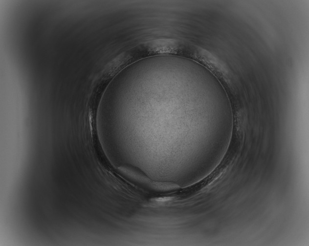X0000097950073200803241202