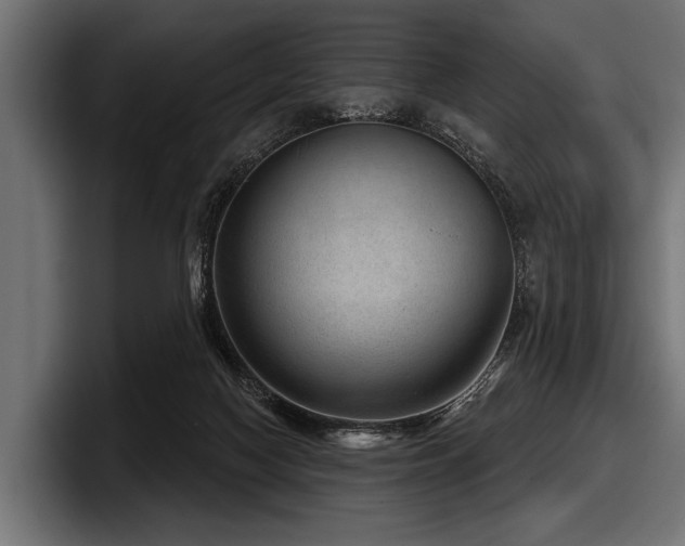 X0000097950074200803241202