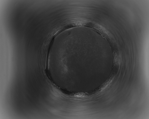 X0000097950076200803241202