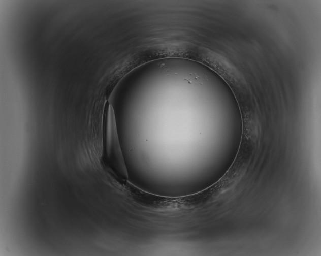 X0000097950077200803241202