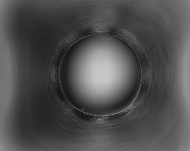 X0000097950078200803241202