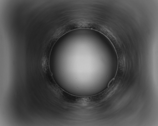 X0000097950079200803241202