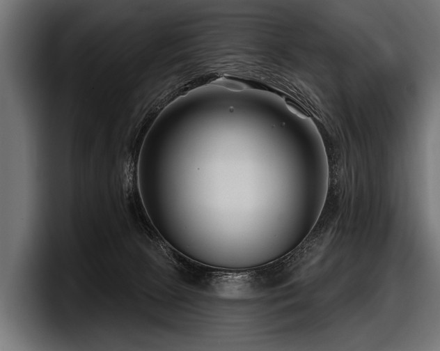 X0000097950081200803241202