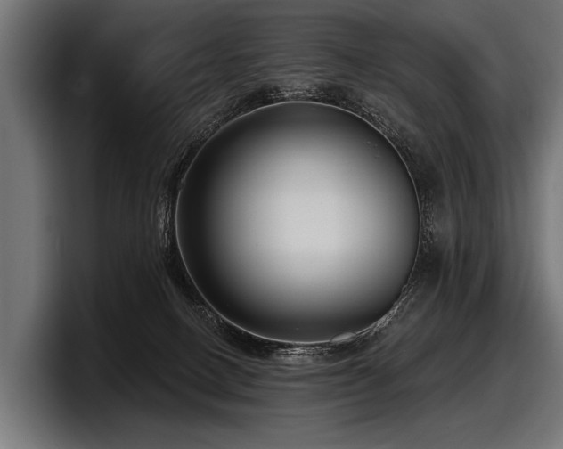 X0000097950082200803241202