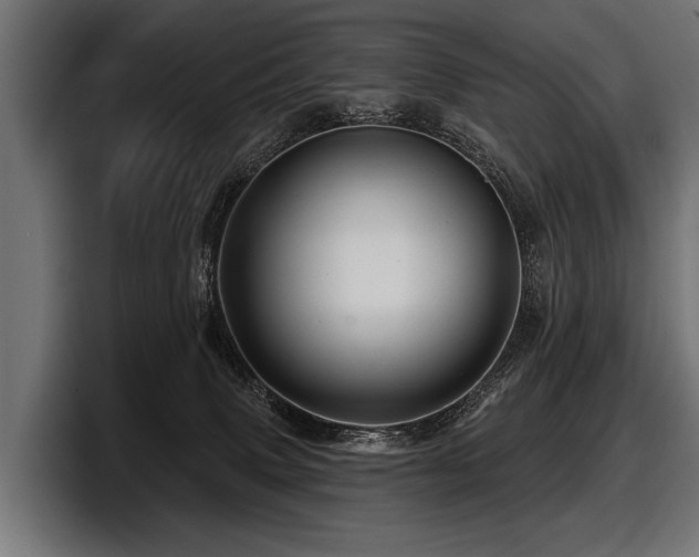 X0000097950083200803241202