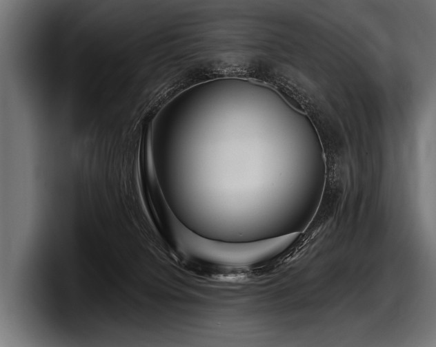 X0000097950084200803241202