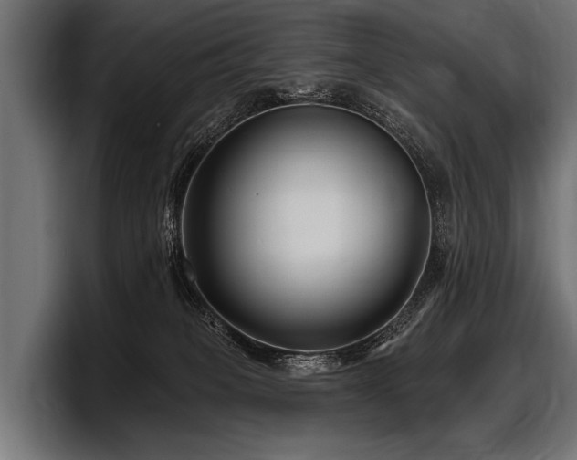 X0000097950085200803241202