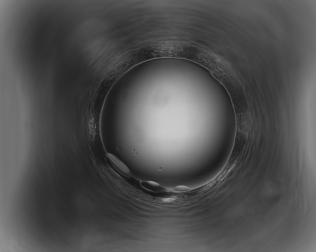 X0000097950086200803241202