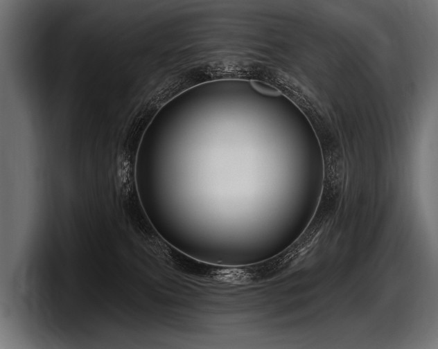 X0000097950087200803241202