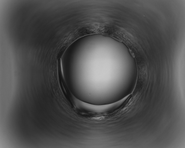 X0000097950088200803241202