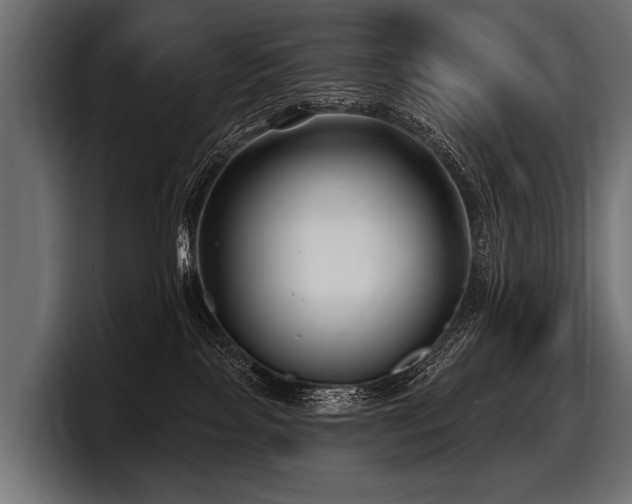 X0000097950089200803241202