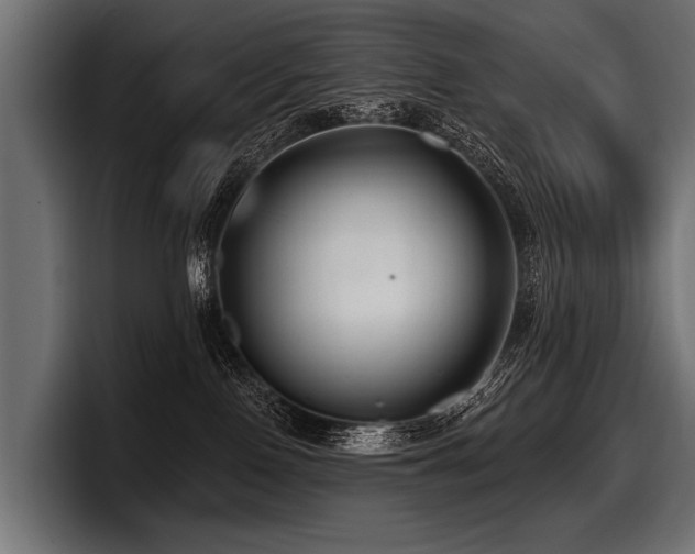 X0000097950090200803241202