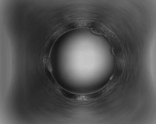 X0000097950091200803241202