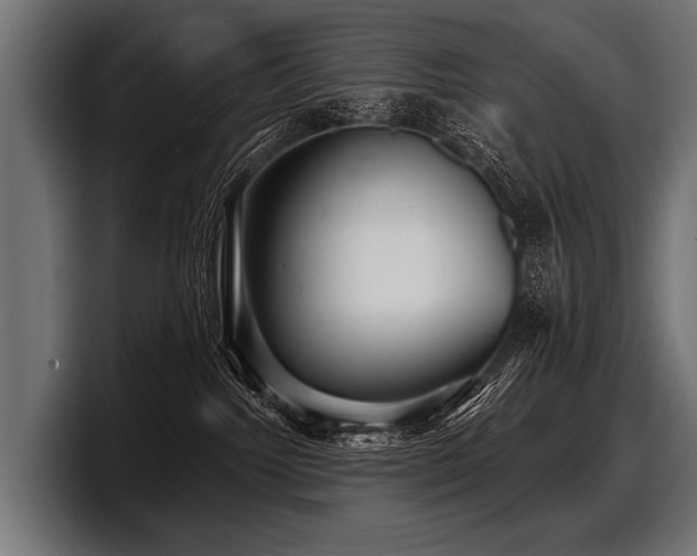 X0000097950092200803241202