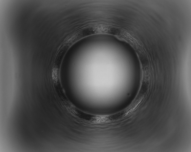 X0000097950093200803241202