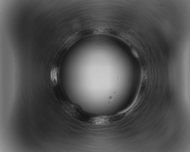 X0000097950094200803241202