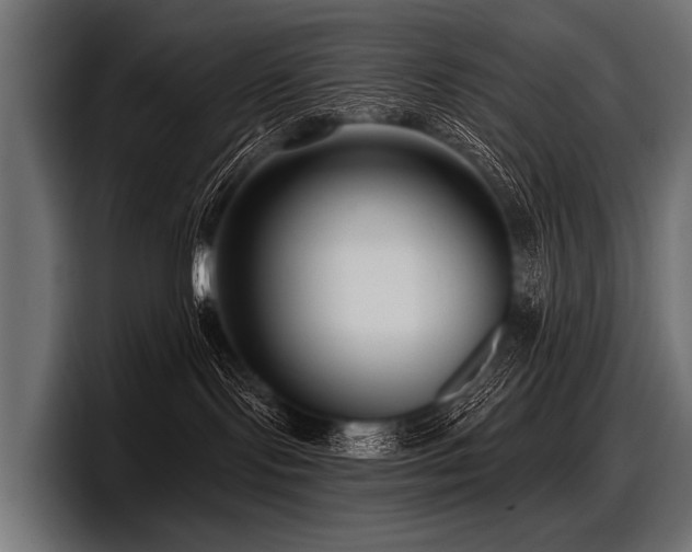 X0000097950095200803241202