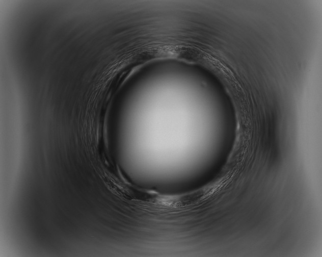 X0000097950096200803241202