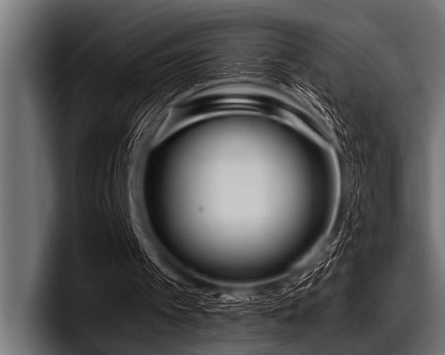 X0000097950097200803241202