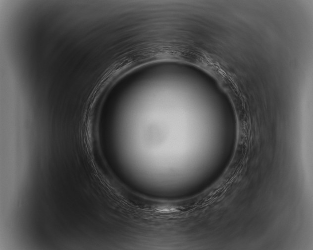 X0000097950098200803241202