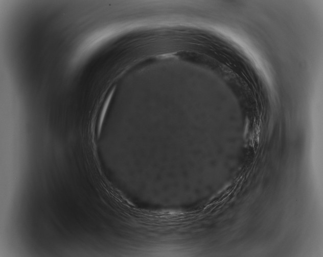 X0000097950099200803241202