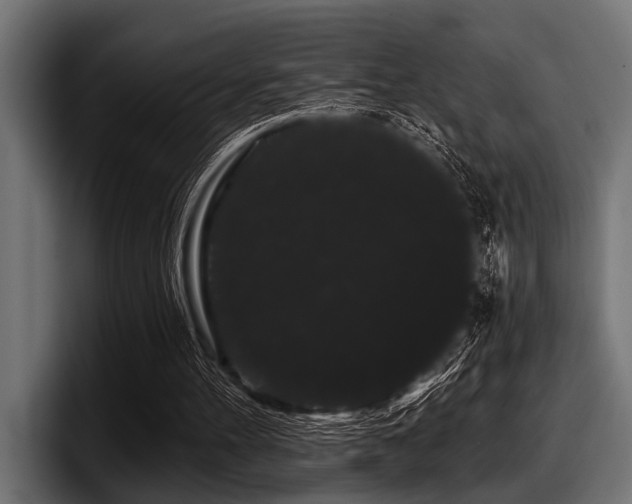 X0000097950100200803241202
