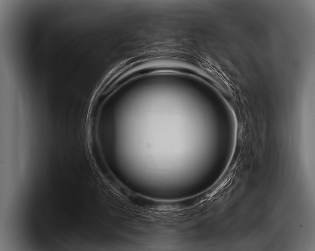 X0000097950101200803241202