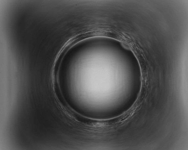 X0000097950102200803241202