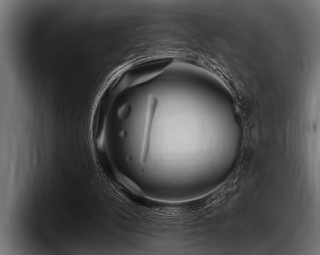 X0000097950104200803241201