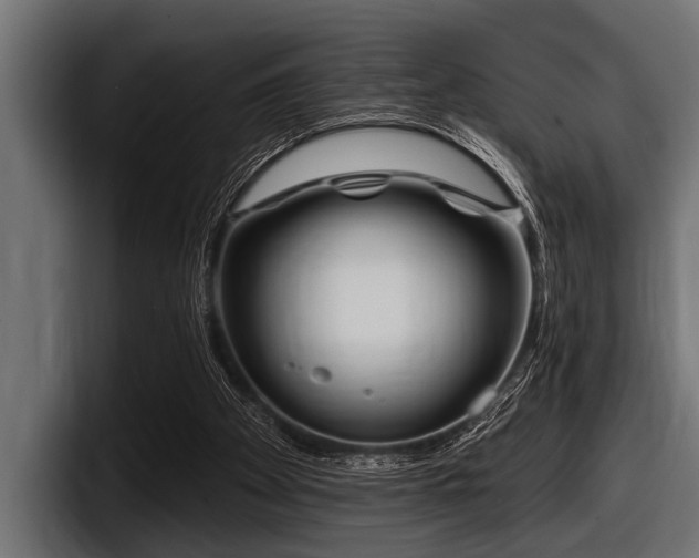 X0000097950105200803241201