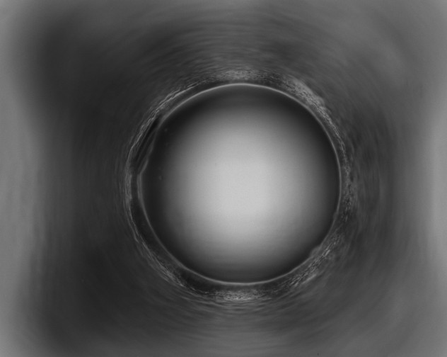 X0000097950106200803241201