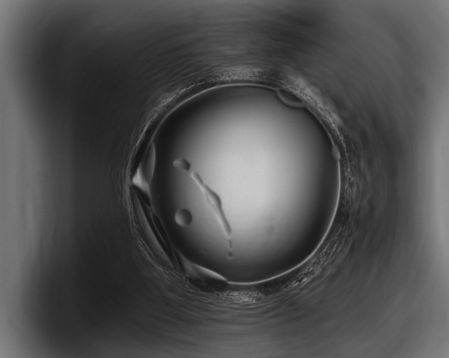 X0000097950107200803241201