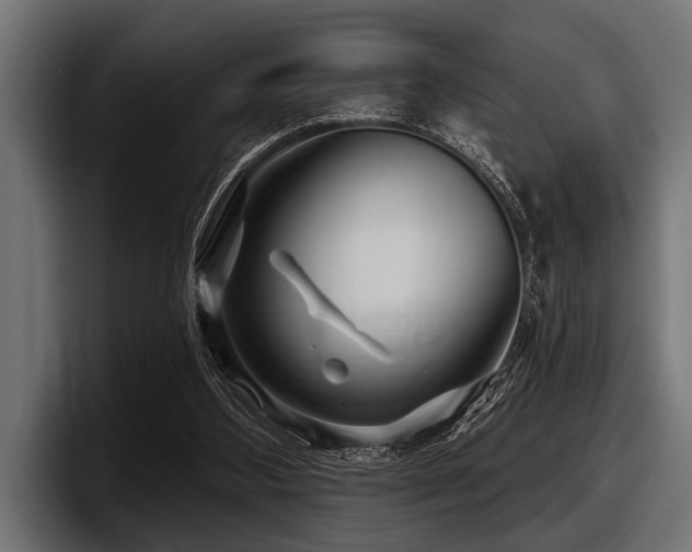 X0000097950108200803241201