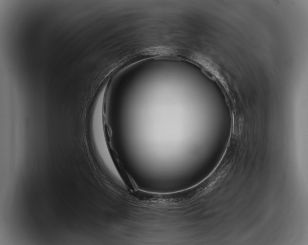 X0000097950109200803241201