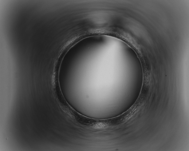 X0000097950111200803241201