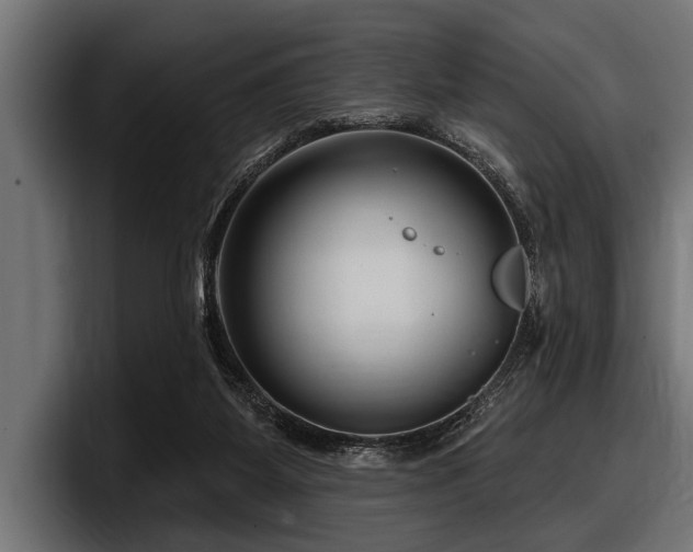X0000097950115200803241201