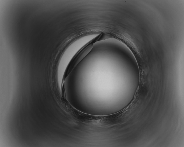 X0000097950116200803241201