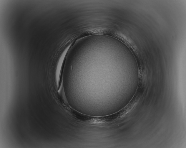 X0000097950117200803241201