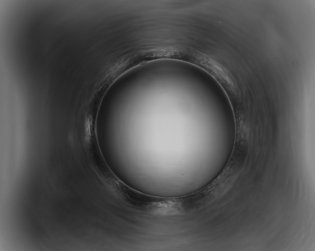 X0000097950118200803241201