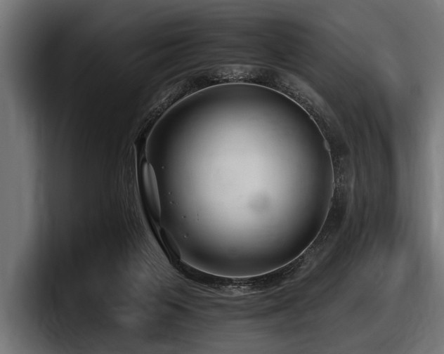 X0000097950119200803241201