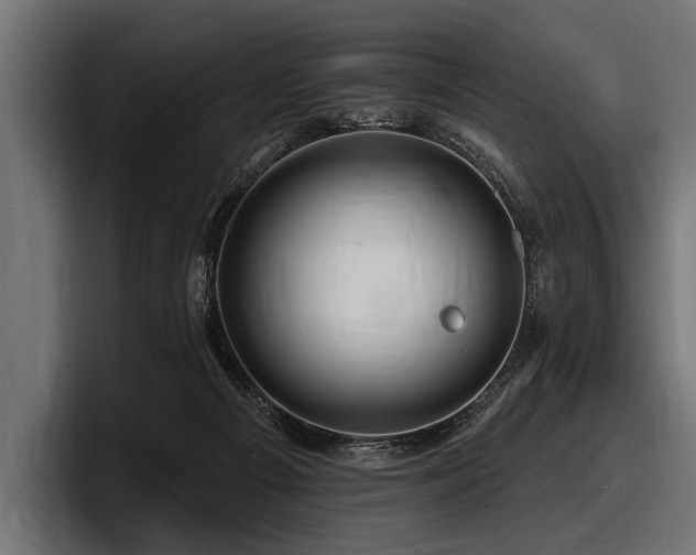 X0000097950121200803241201