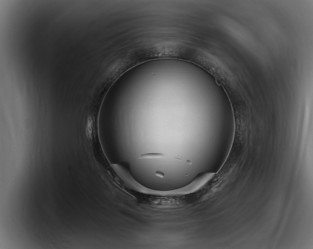 X0000097950123200803241201
