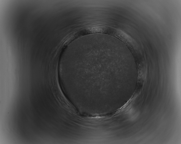 X0000097950124200803241201