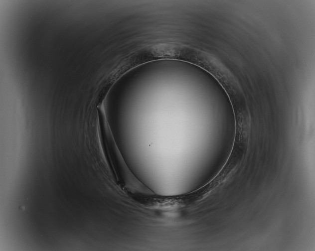 X0000097950125200803241201