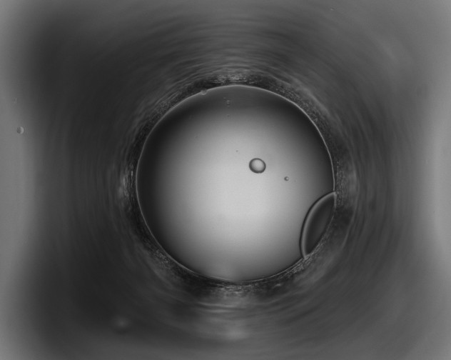 X0000097950126200803241201