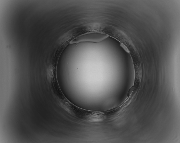 X0000097950128200803241201