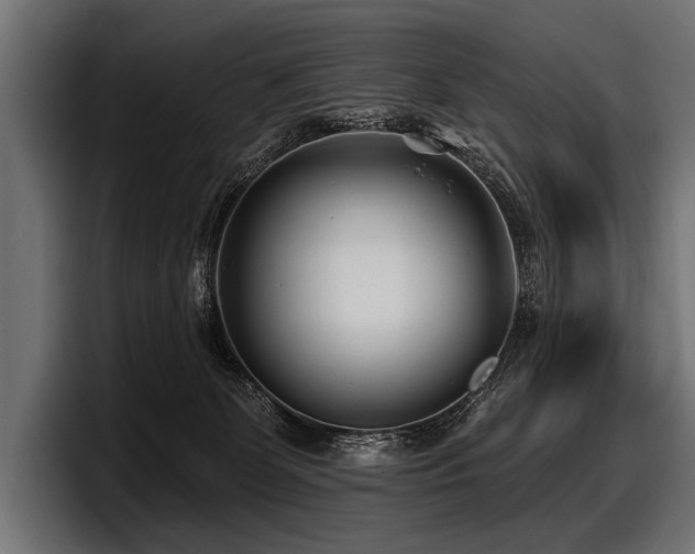 X0000097950131200803241201