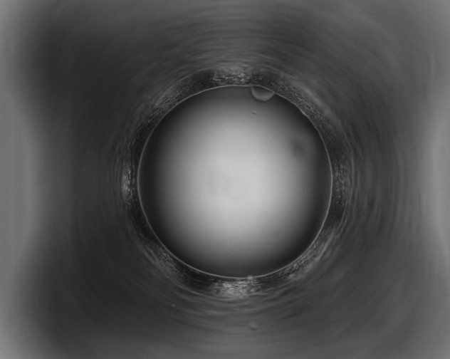 X0000097950134200803241201