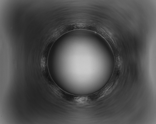 X0000097950135200803241201