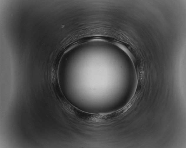 X0000097950136200803241201